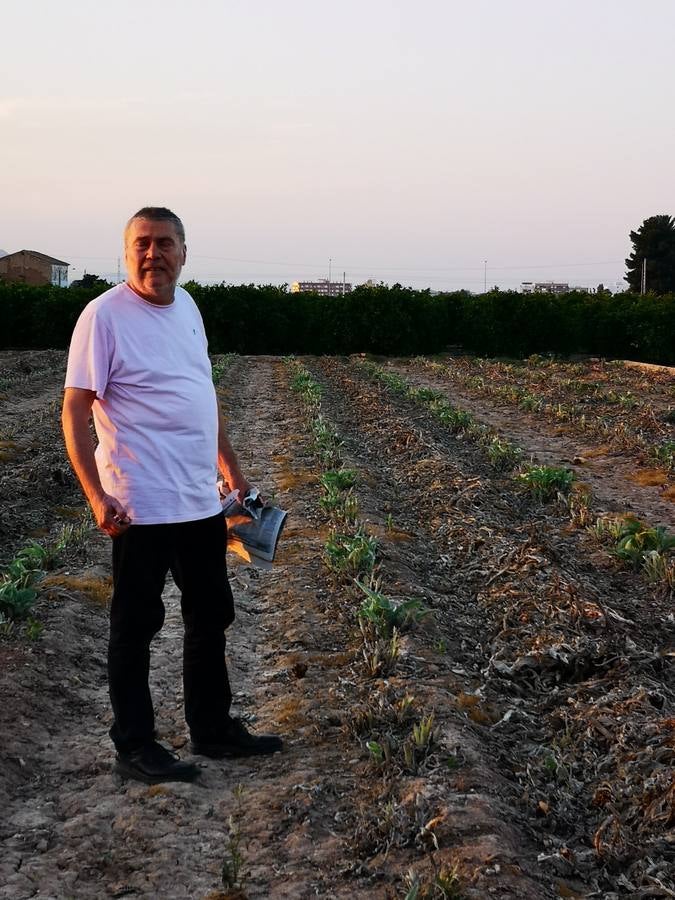 El cocinero Ricard Camarena participó este martes en la recuperación de la tradicional quema de los restos de la cosecha de la alcachofa en la huerta de Albalat dels Sorells. La 'Nit de la terra' fue la celebración del matrimonio entre el campo y la cocina.