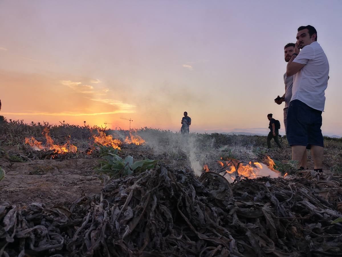 El cocinero Ricard Camarena participó este martes en la recuperación de la tradicional quema de los restos de la cosecha de la alcachofa en la huerta de Albalat dels Sorells. La 'Nit de la terra' fue la celebración del matrimonio entre el campo y la cocina.