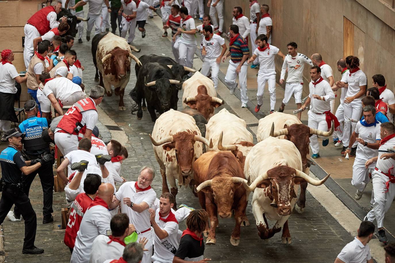 Los toros de El Puerto de San Lorenzo recorren rápidos el trazado de Pamplona dejando varios heridos en el primer encierro de San Fermín 2019.