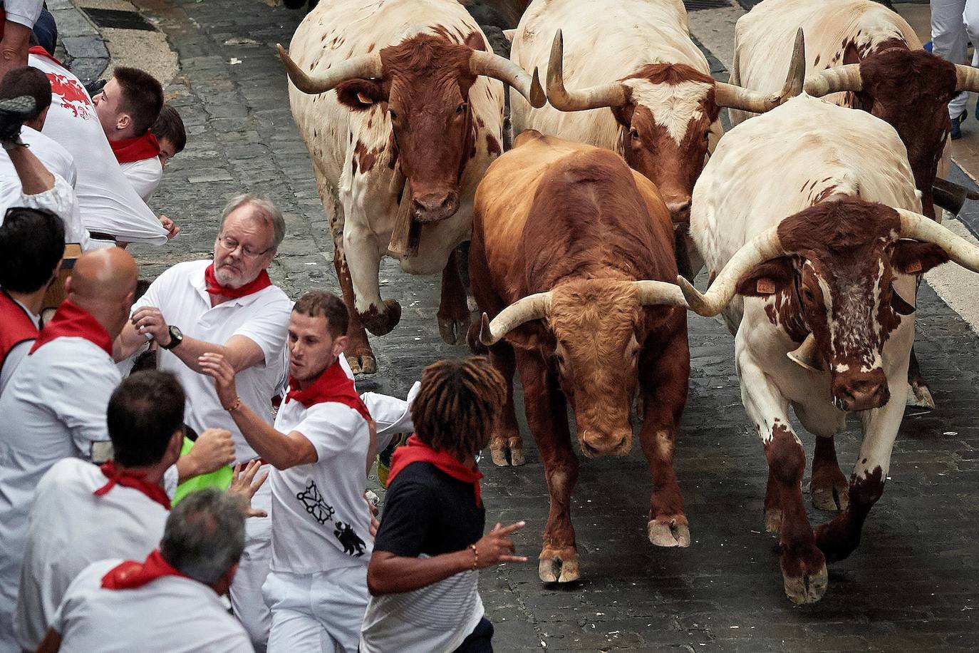 Los toros de El Puerto de San Lorenzo recorren rápidos el trazado de Pamplona dejando varios heridos en el primer encierro de San Fermín 2019.