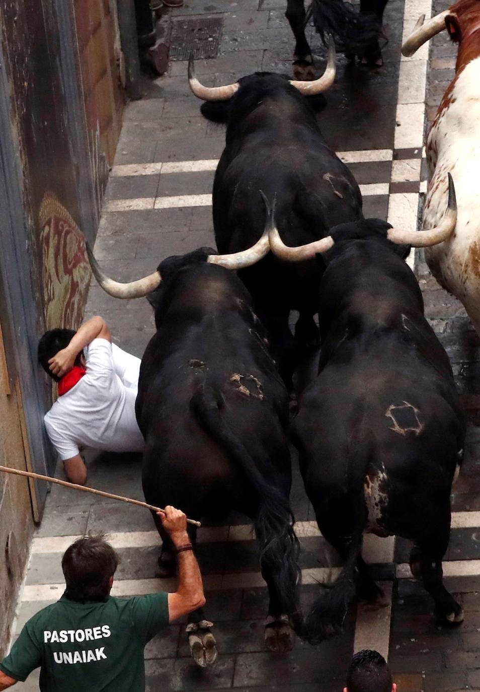 Los toros de El Puerto de San Lorenzo recorren rápidos el trazado de Pamplona dejando varios heridos en el primer encierro de San Fermín 2019.