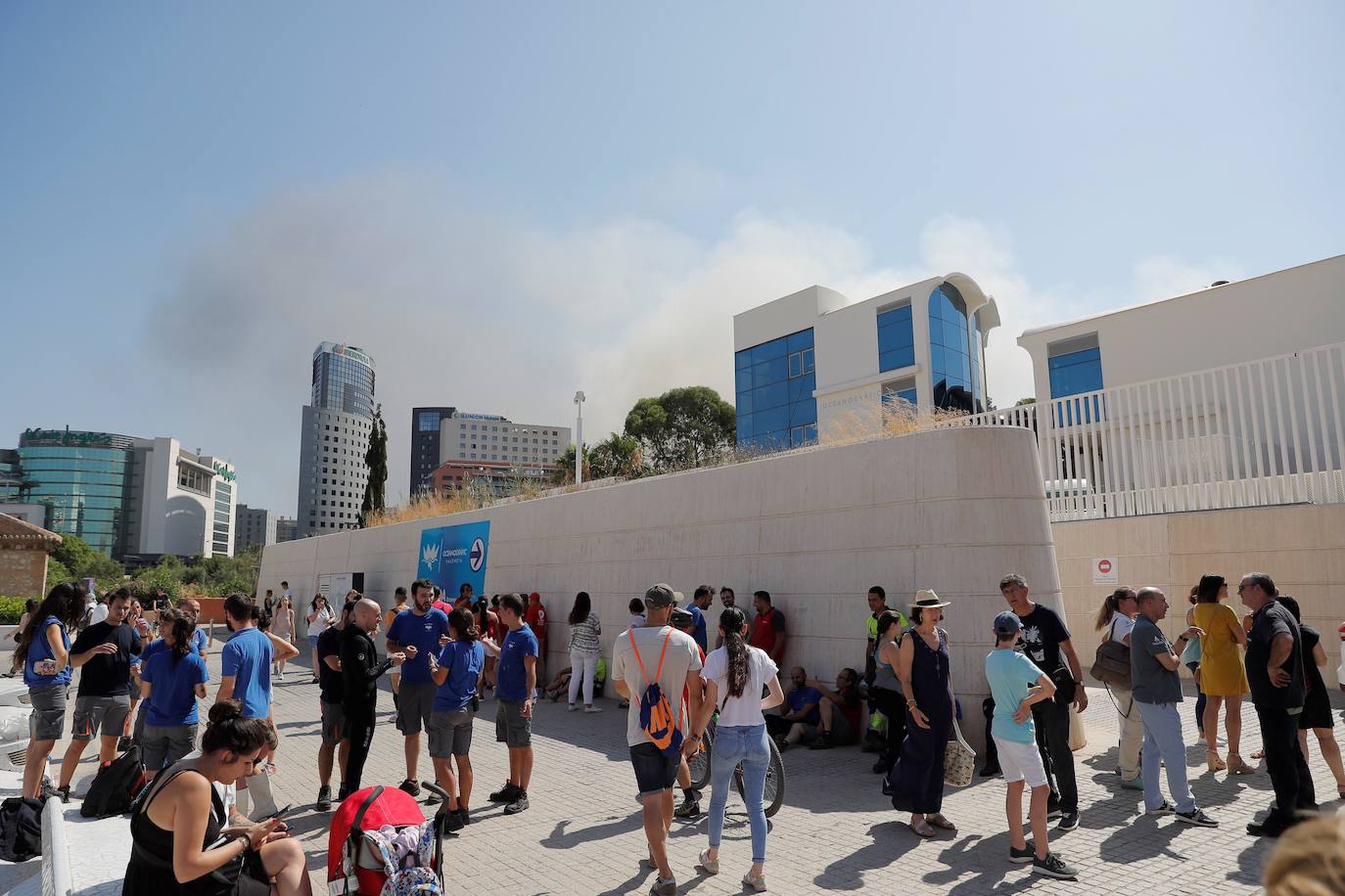 Fotos: Incendio en l&#039;Oceanogràfic de Valencia