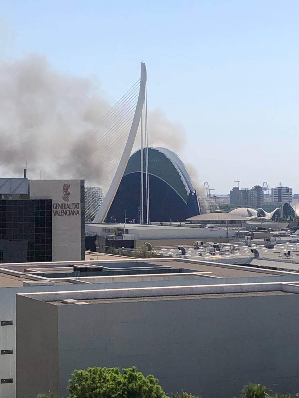 Fotos: Incendio en l&#039;Oceanogràfic de Valencia