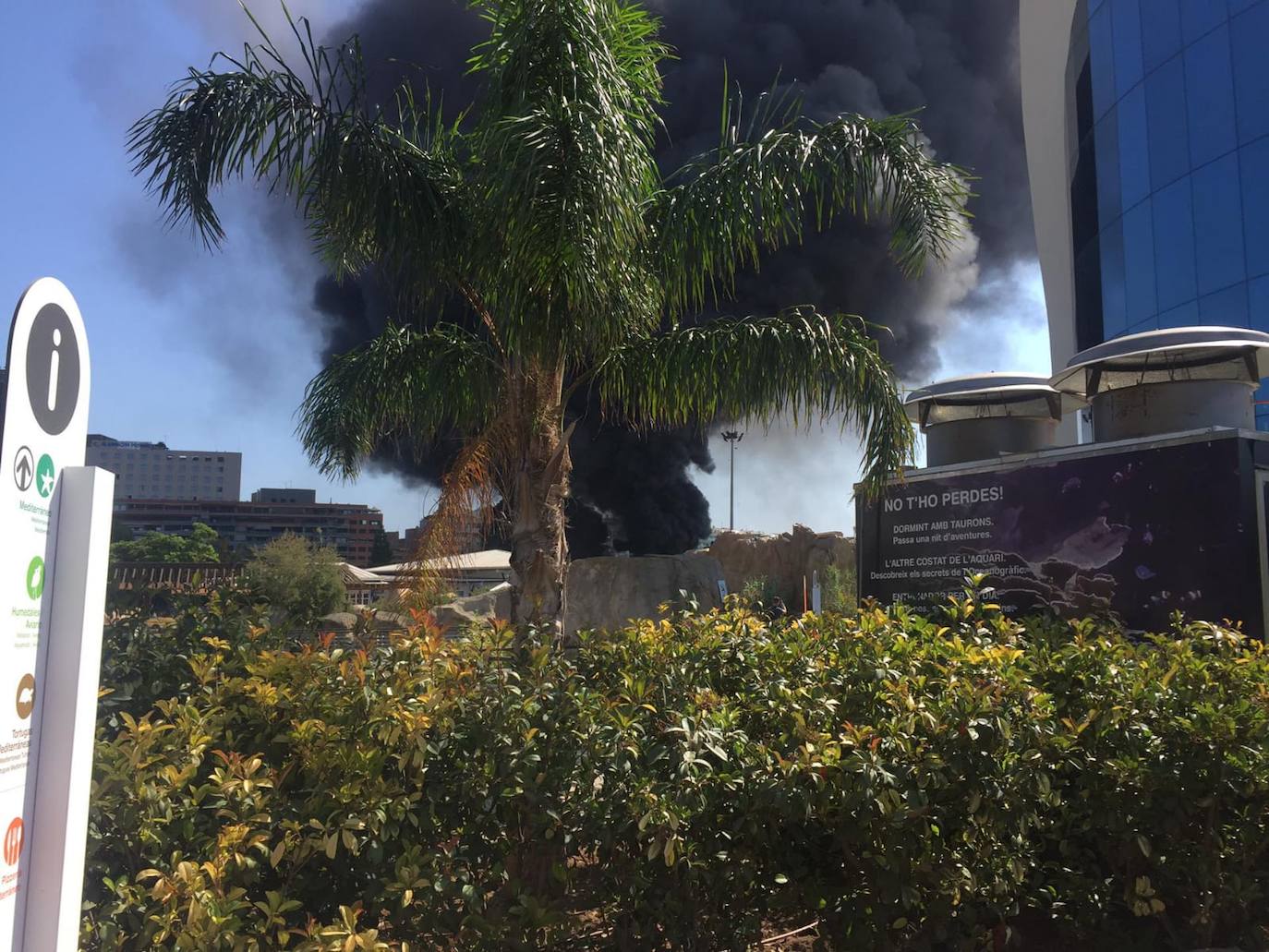 Fotos: Incendio en l&#039;Oceanogràfic de Valencia