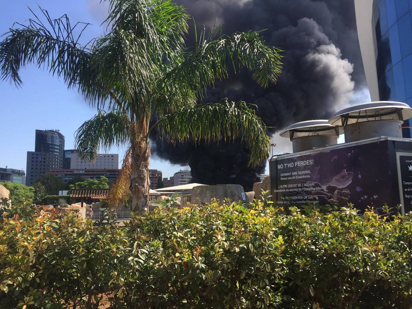 Fotos: Incendio en l&#039;Oceanogràfic de Valencia