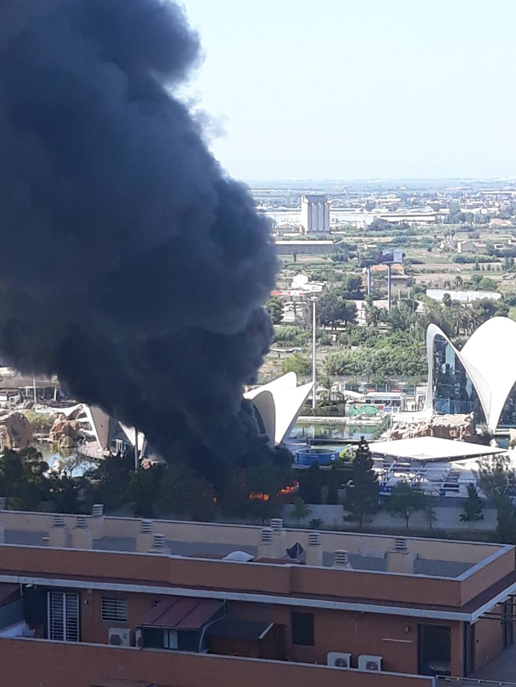 Fotos: Incendio en l&#039;Oceanogràfic de Valencia