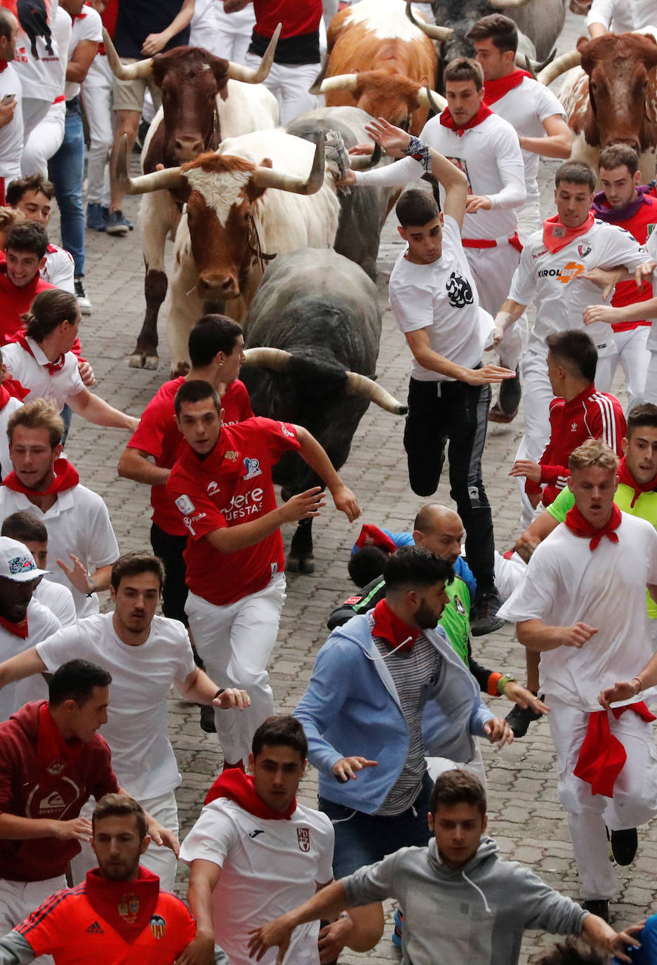 Los toros de José Escolar han recorrido las calles de Pamplona en dos minutos y 13 segundos. Es el encierro más rápido de este año.