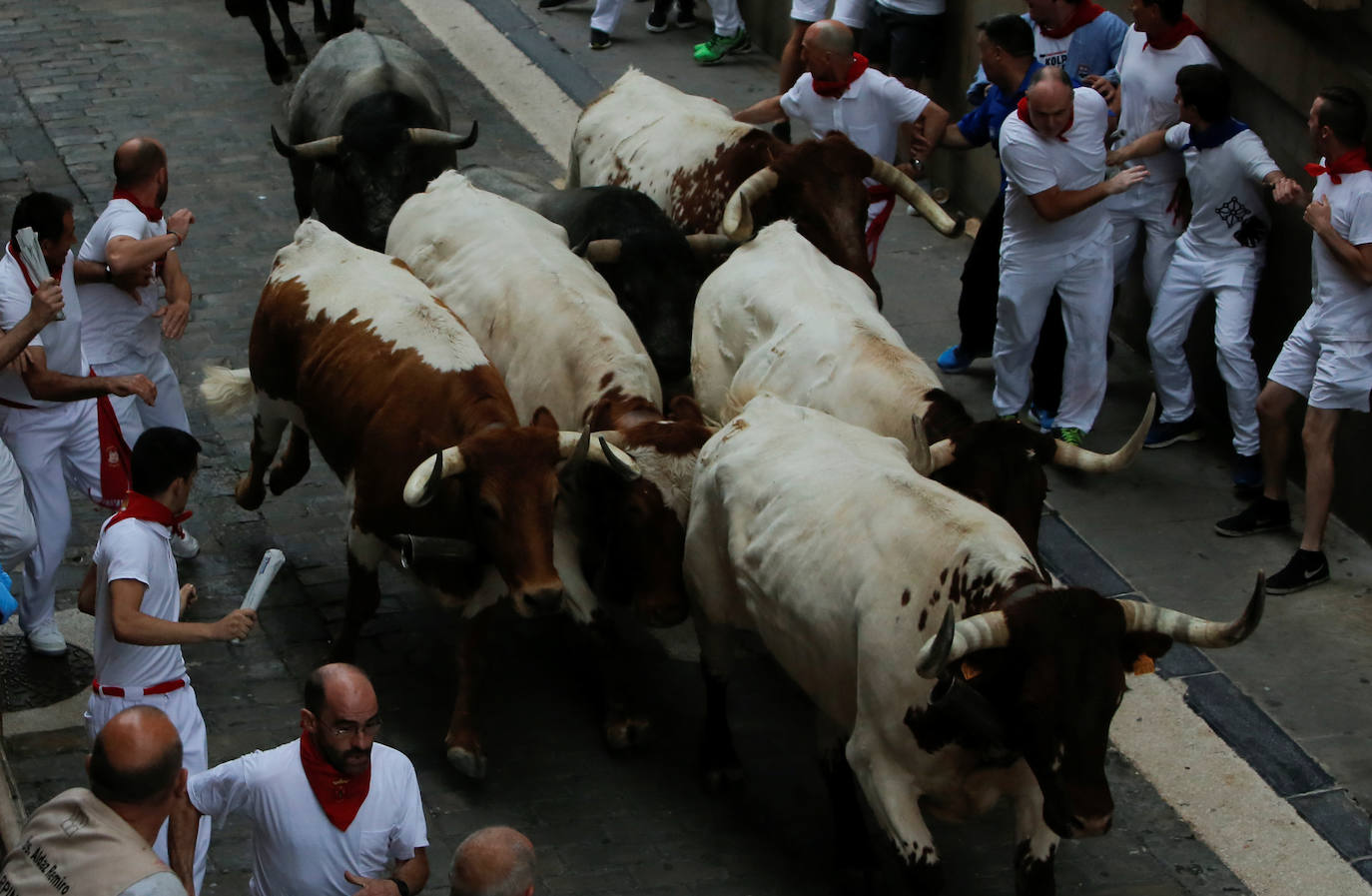 Los toros de José Escolar han recorrido las calles de Pamplona en dos minutos y 13 segundos. Es el encierro más rápido de este año.