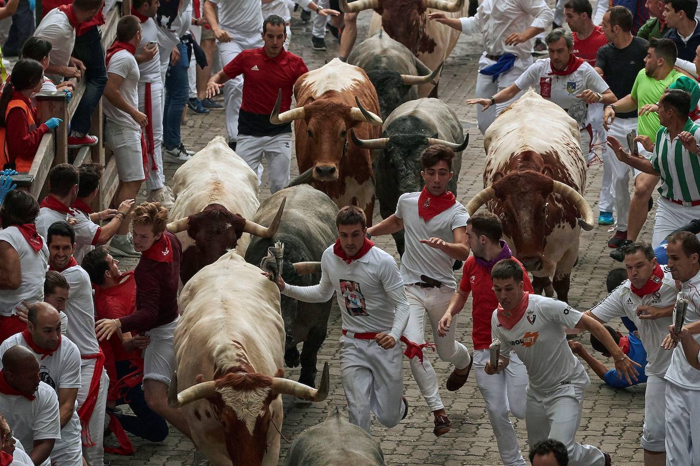 Los toros de José Escolar han recorrido las calles de Pamplona en dos minutos y 13 segundos. Es el encierro más rápido de este año.