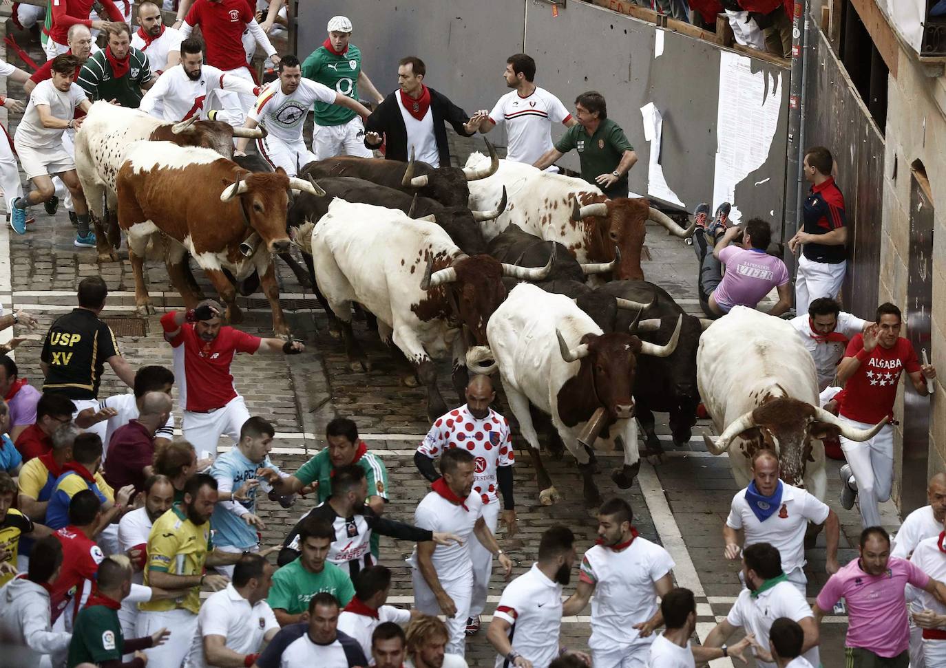 Los toros de Jandilla siguen la tónica de encierro veloz. Los astados dejan fuera su fama de peligrosos tras realizar un recorrido rápido y ordenado en dos minutos y diecinueve segundos. La carrera ha finalizado sin heridos, aunque con bastantes golpes.