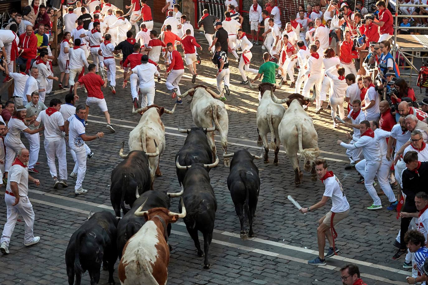 Los toros de Jandilla siguen la tónica de encierro veloz. Los astados dejan fuera su fama de peligrosos tras realizar un recorrido rápido y ordenado en dos minutos y diecinueve segundos. La carrera ha finalizado sin heridos, aunque con bastantes golpes.