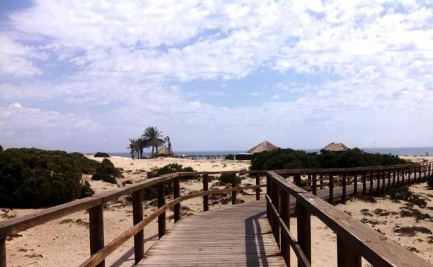 Playa El Carabassí (Elche)