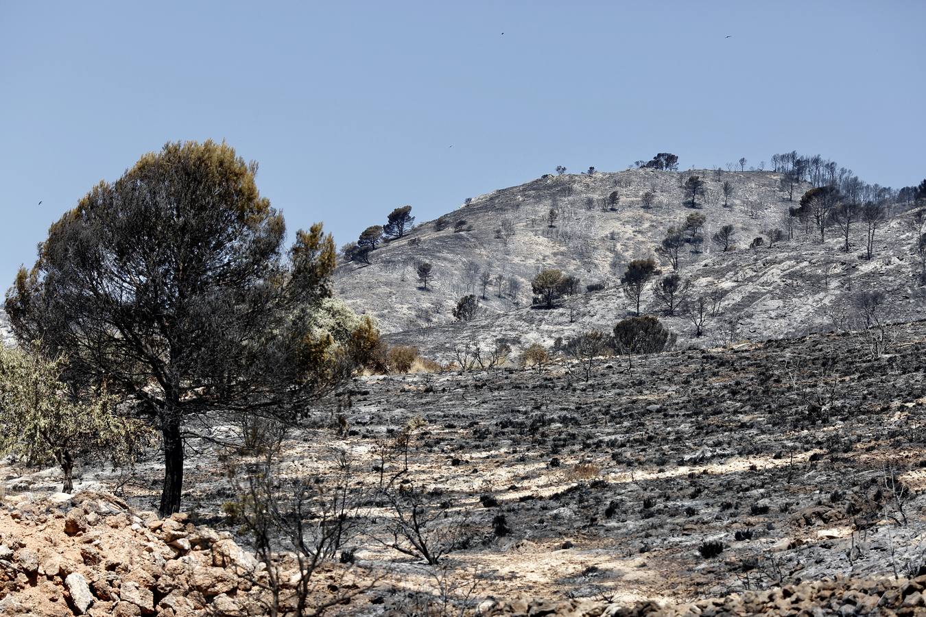 Un incendio forestal en Beneixama (interior norte de Alicante), cerca de la comarca de la Vall d'Albaida (Valencia), ha movilizado a media tarde del lunes a medio centenar de vehículos y equipos terrestres y una quincena de aéreos.