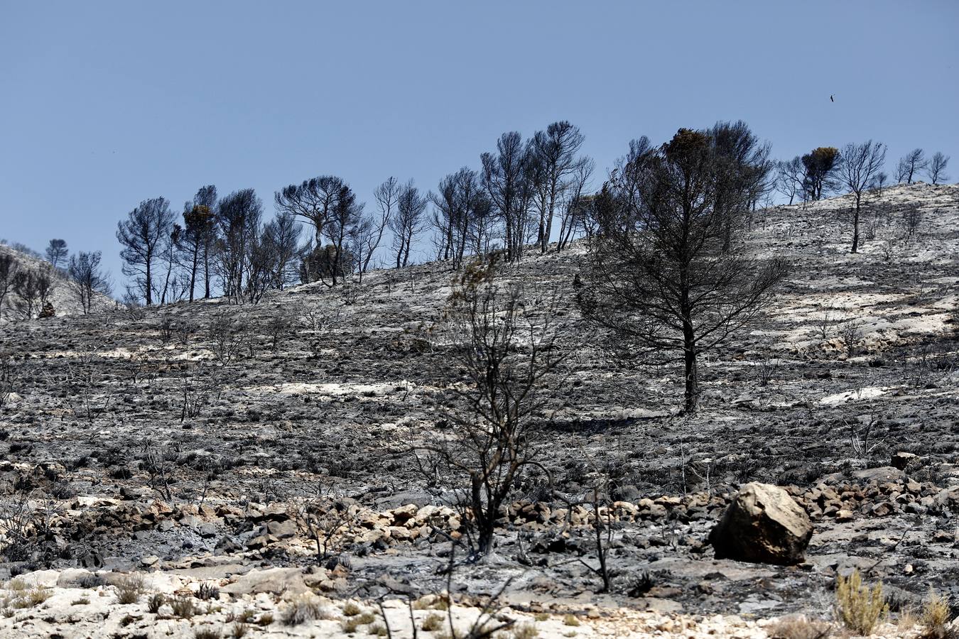 Un incendio forestal en Beneixama (interior norte de Alicante), cerca de la comarca de la Vall d'Albaida (Valencia), ha movilizado a media tarde del lunes a medio centenar de vehículos y equipos terrestres y una quincena de aéreos.