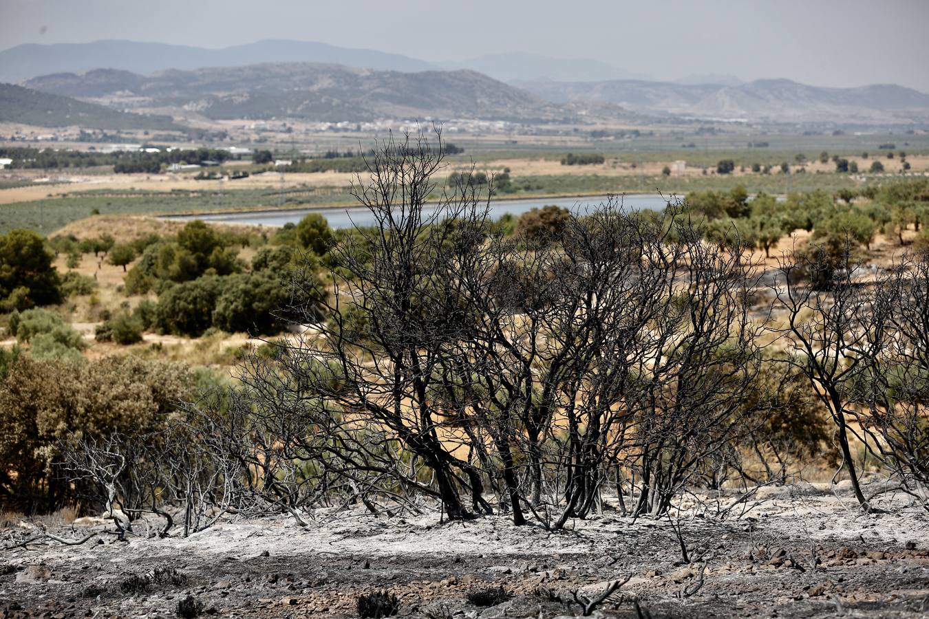 Un incendio forestal en Beneixama (interior norte de Alicante), cerca de la comarca de la Vall d'Albaida (Valencia), ha movilizado a media tarde del lunes a medio centenar de vehículos y equipos terrestres y una quincena de aéreos.