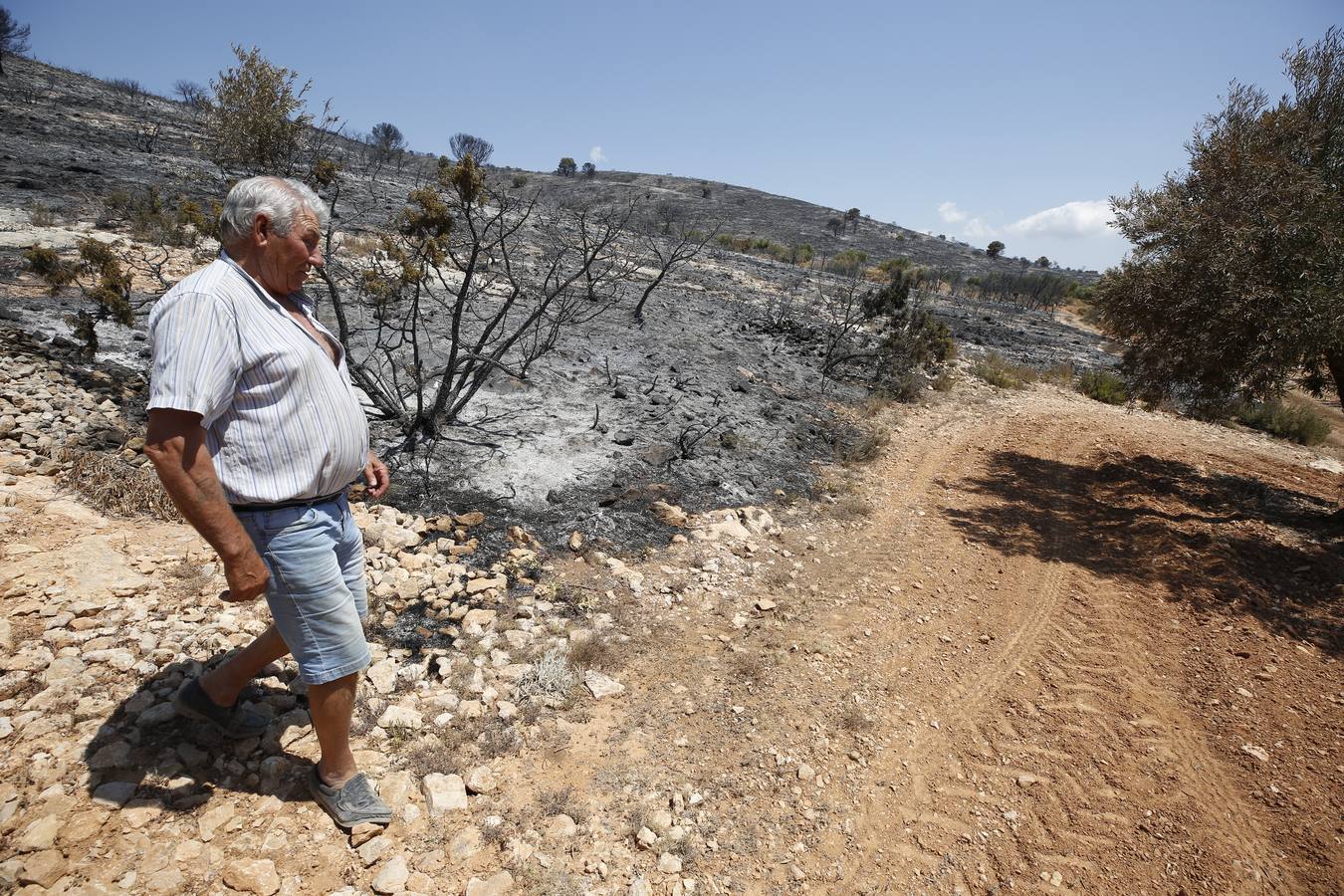 Un incendio forestal en Beneixama (interior norte de Alicante), cerca de la comarca de la Vall d'Albaida (Valencia), ha movilizado a media tarde del lunes a medio centenar de vehículos y equipos terrestres y una quincena de aéreos.