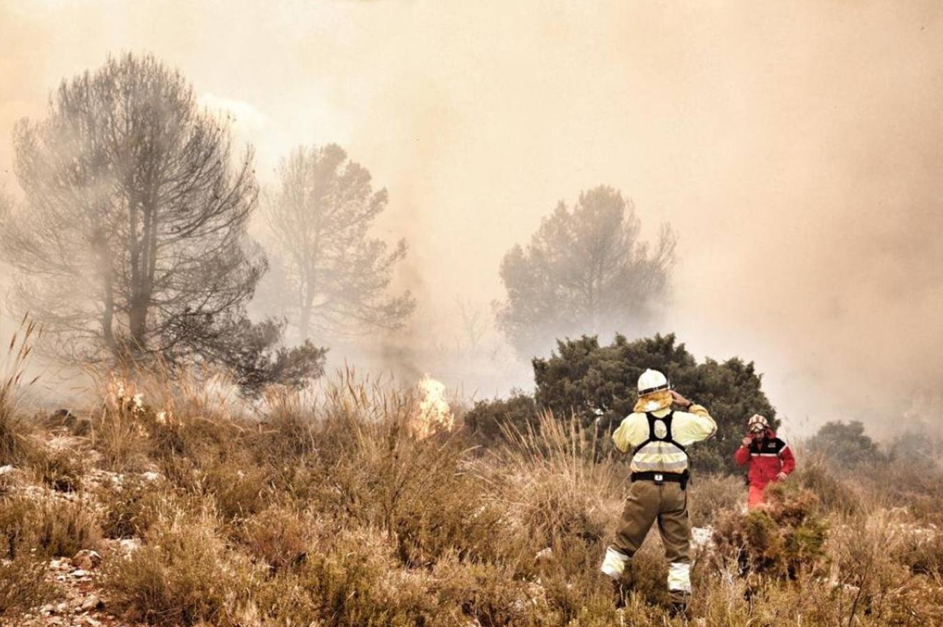 Un incendio forestal en Beneixama (Alicante), cerca de la comarca de la Vall d'Albaida (Valencia) ha movilizado a medio centenar de vehículos y equipos terrestres y una quincena de aéreos.