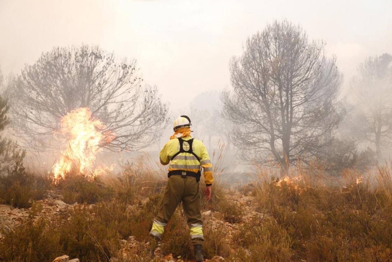 Un incendio forestal en Beneixama (Alicante), cerca de la comarca de la Vall d'Albaida (Valencia) ha movilizado a medio centenar de vehículos y equipos terrestres y una quincena de aéreos.