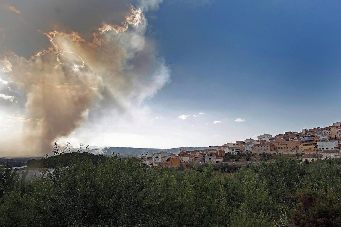 Un incendio forestal en Beneixama (interior norte de Alicante), cerca de la comarca de la Vall d'Albaida (Valencia), ha movilizado a media tarde del lunes a medio centenar de vehículos y equipos terrestres y una quincena de aéreos.