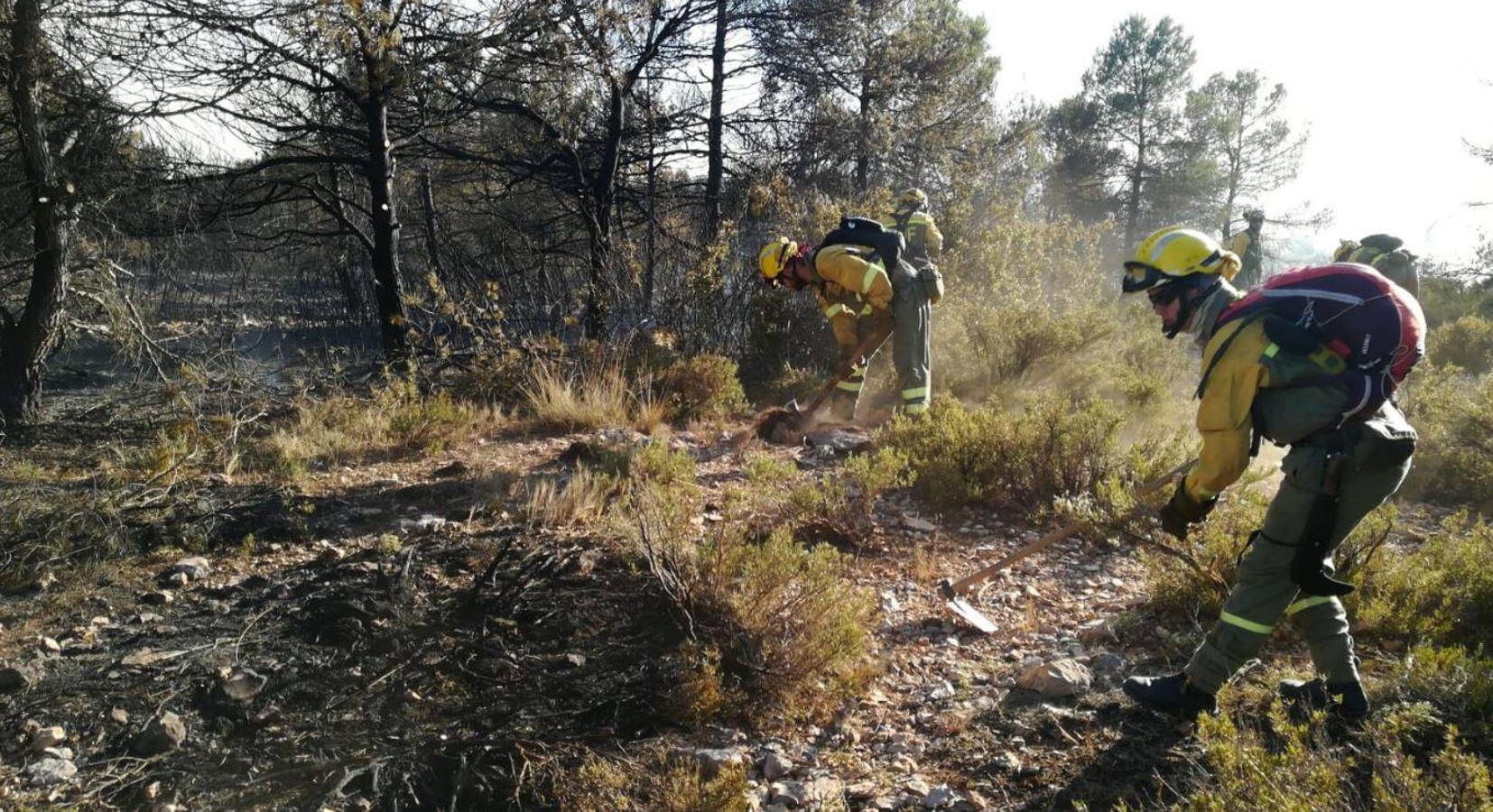 Un incendio forestal en Beneixama (interior norte de Alicante), cerca de la comarca de la Vall d'Albaida (Valencia), ha movilizado a media tarde del lunes a medio centenar de vehículos y equipos terrestres y una quincena de aéreos.