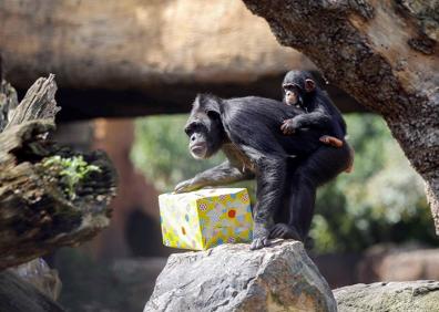 Imagen secundaria 1 - La fiesta de Coco. 