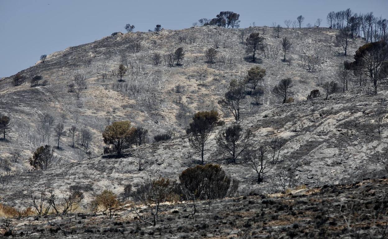 Extinguido el incendio de Beneixama, tras quemar 900 hectáreas