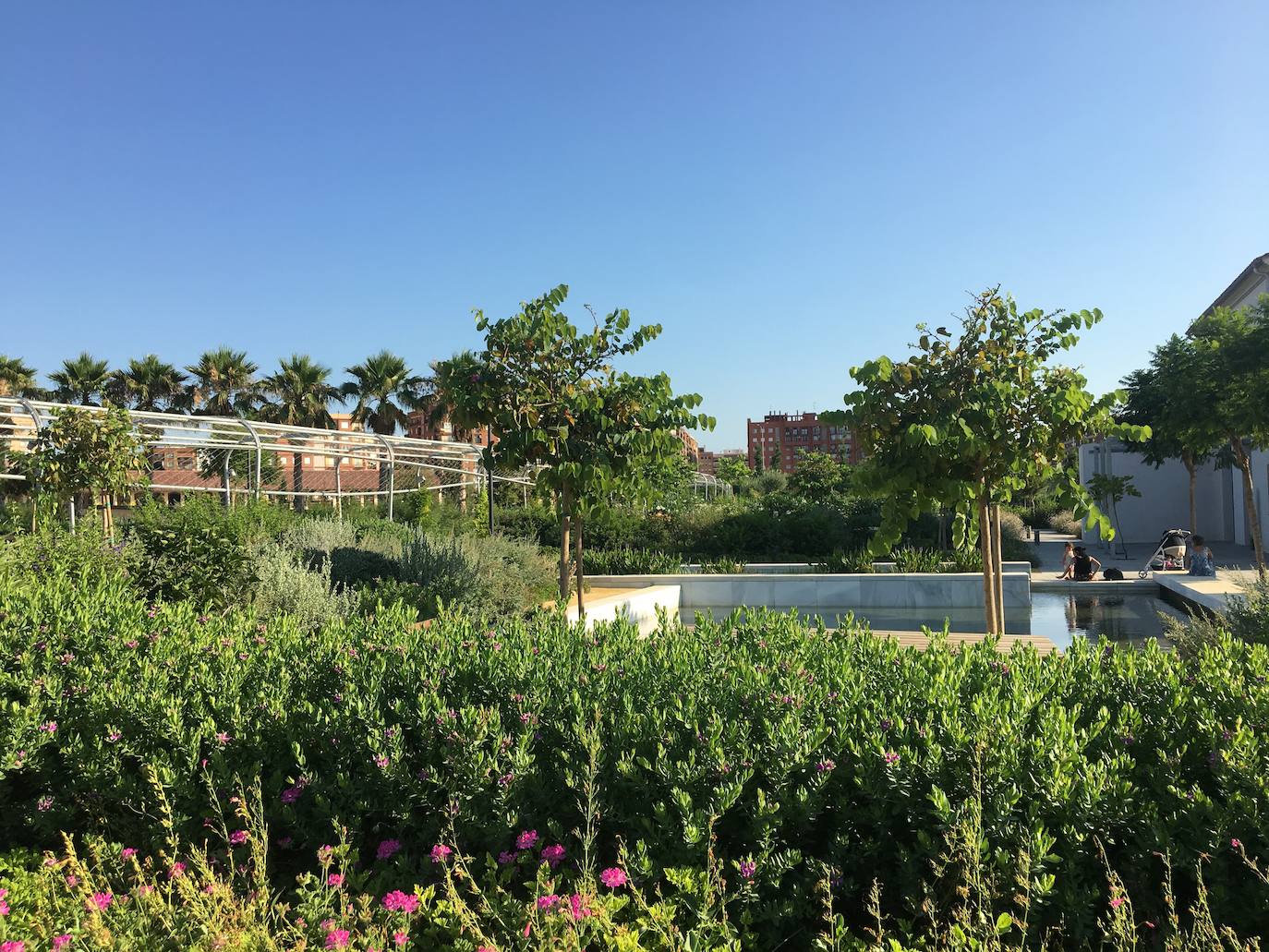 El Parc Central de Valencia, un lugar excepcional para pasar el verano sin salir de la ciudad.