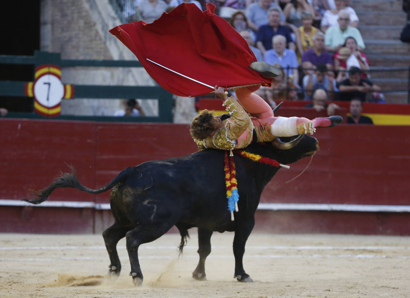 La primera novillada de la Feria de Julio en la Plaza de Toros de Valencia, celebrada este jueves, se vio sobresaltada durante la segunda faena del valenciano Borja Collado. Una voltereta impresionante le llevó del ruedo a la enfermería; y, su coraje, de la enfermería al ruedo con una brecha en la cabeza. En ese tramo de la faena, sobre la mano izquierda, toreó con mucha sinceridad y dominio. Primaron la emotividad y la entrega y el público solicitó una merecida y sufrida oreja.