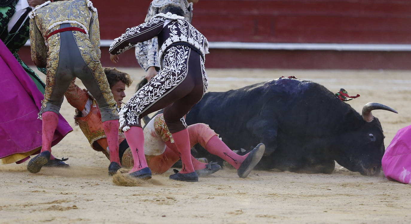 La primera novillada de la Feria de Julio en la Plaza de Toros de Valencia, celebrada este jueves, se vio sobresaltada durante la segunda faena del valenciano Borja Collado. Una voltereta impresionante le llevó del ruedo a la enfermería; y, su coraje, de la enfermería al ruedo con una brecha en la cabeza. En ese tramo de la faena, sobre la mano izquierda, toreó con mucha sinceridad y dominio. Primaron la emotividad y la entrega y el público solicitó una merecida y sufrida oreja.