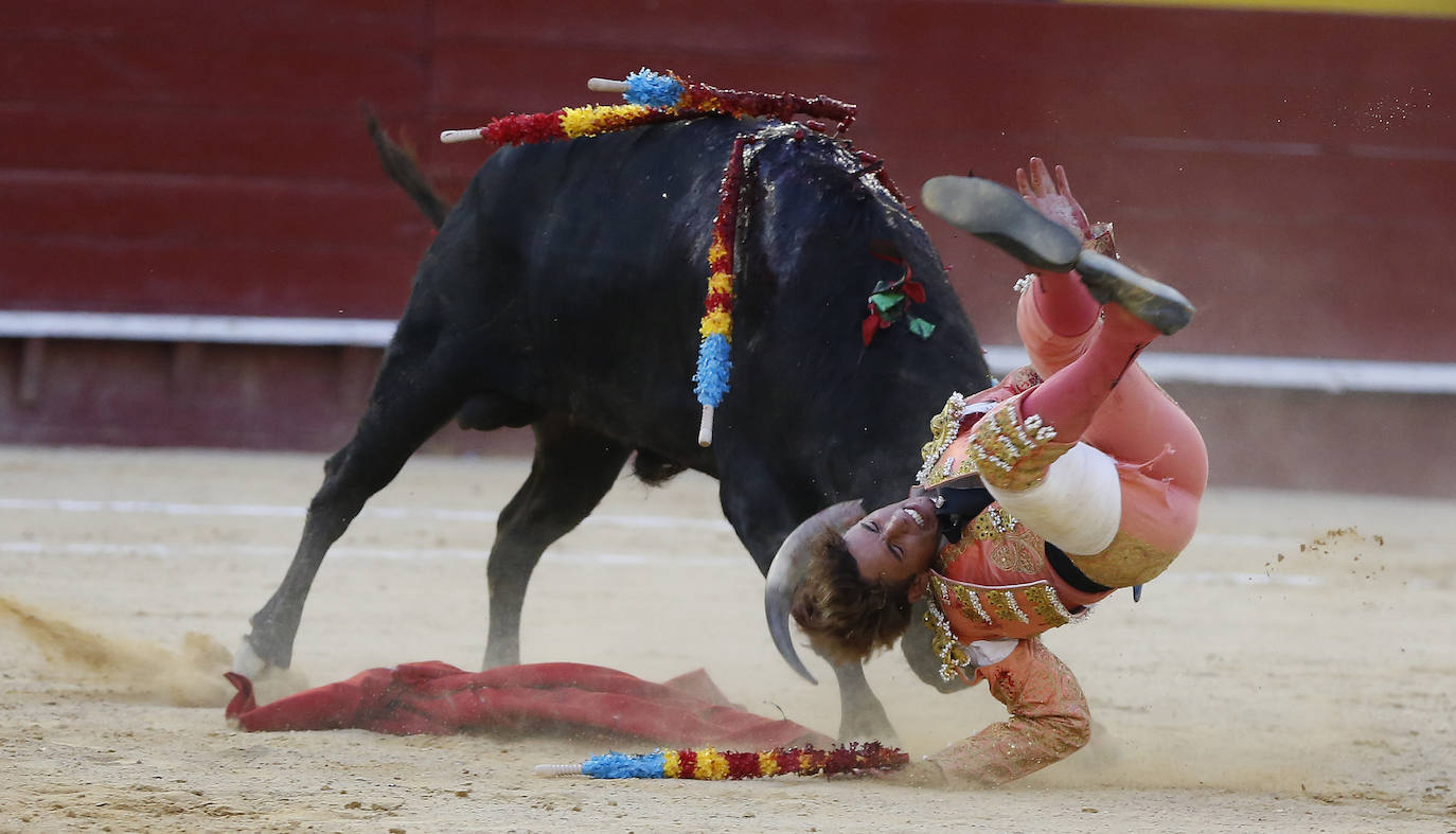 La primera novillada de la Feria de Julio en la Plaza de Toros de Valencia, celebrada este jueves, se vio sobresaltada durante la segunda faena del valenciano Borja Collado. Una voltereta impresionante le llevó del ruedo a la enfermería; y, su coraje, de la enfermería al ruedo con una brecha en la cabeza. En ese tramo de la faena, sobre la mano izquierda, toreó con mucha sinceridad y dominio. Primaron la emotividad y la entrega y el público solicitó una merecida y sufrida oreja.