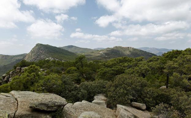 Vistas de la Sierra Calderona y de la Punta del Garbí. 