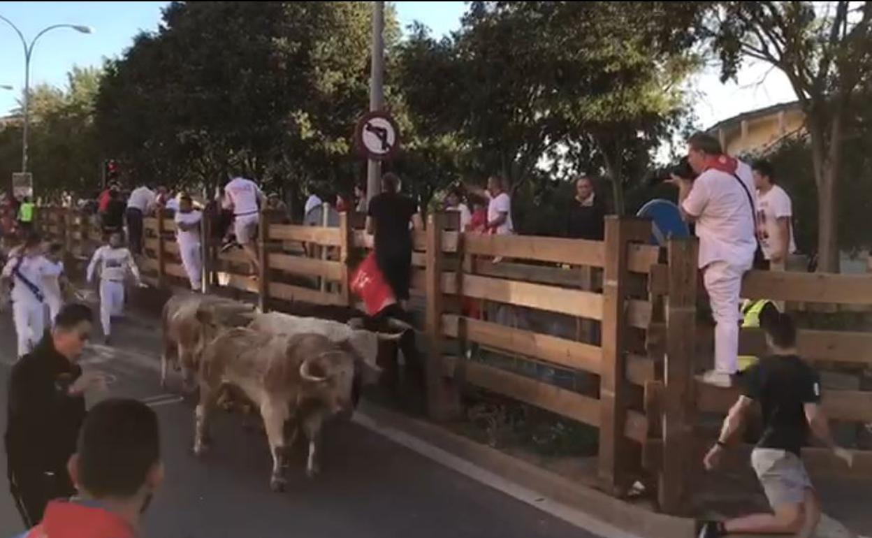 Toros de Tudela | Un vecino de Castellón, herido en el encierro de las fiestas de Tudela