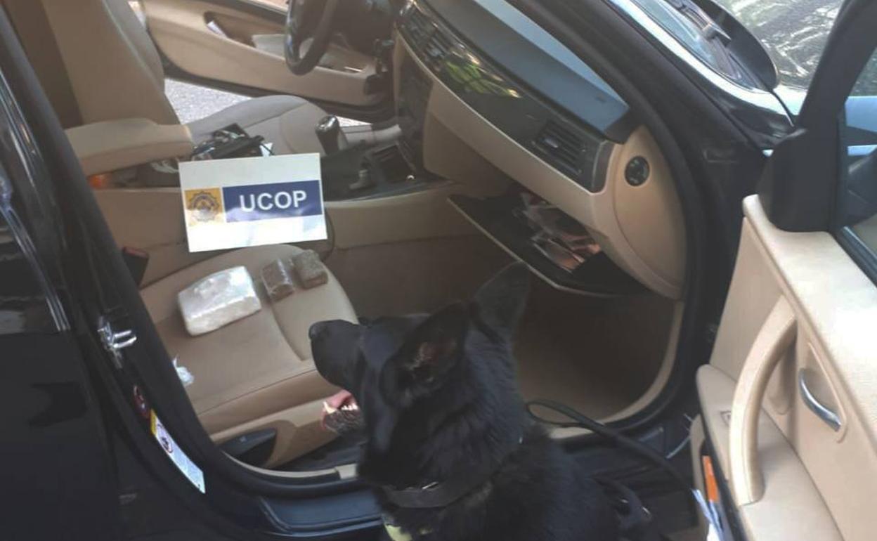 Un perro policía descubre un coche cargado con drogas que circulaba por Valencia