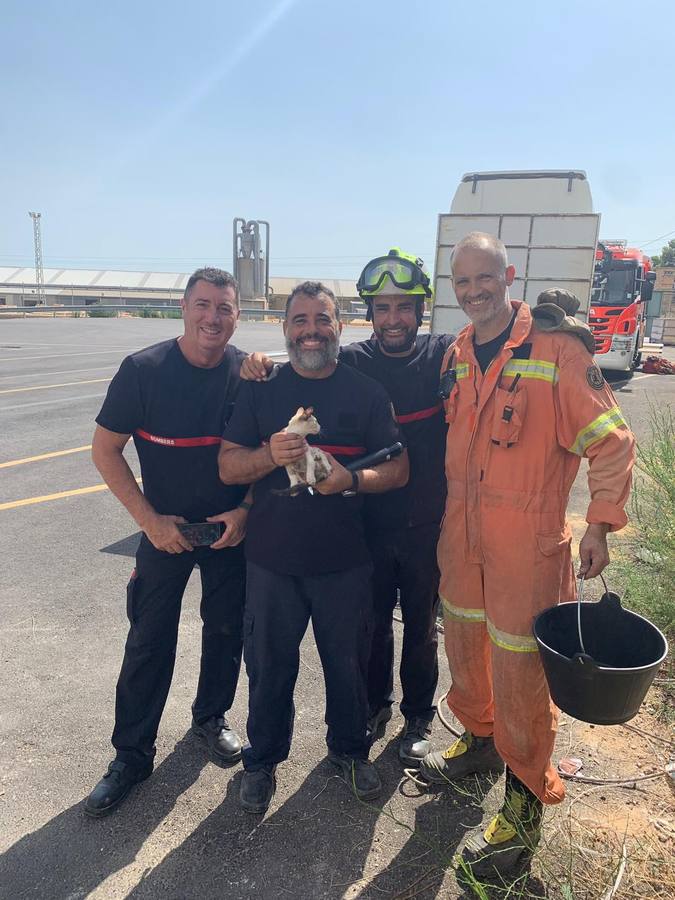 Bomberos del Consorcio Provincial de Valencia que rescataron este jueves a un gatito caído a un pozo de 20 metros de profundidad en la localidad valenciana de Silla.