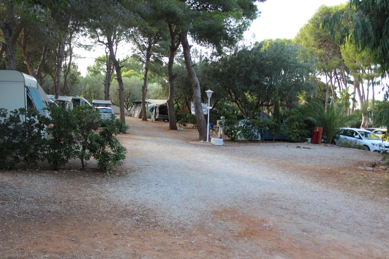 Camping Los Pinos.