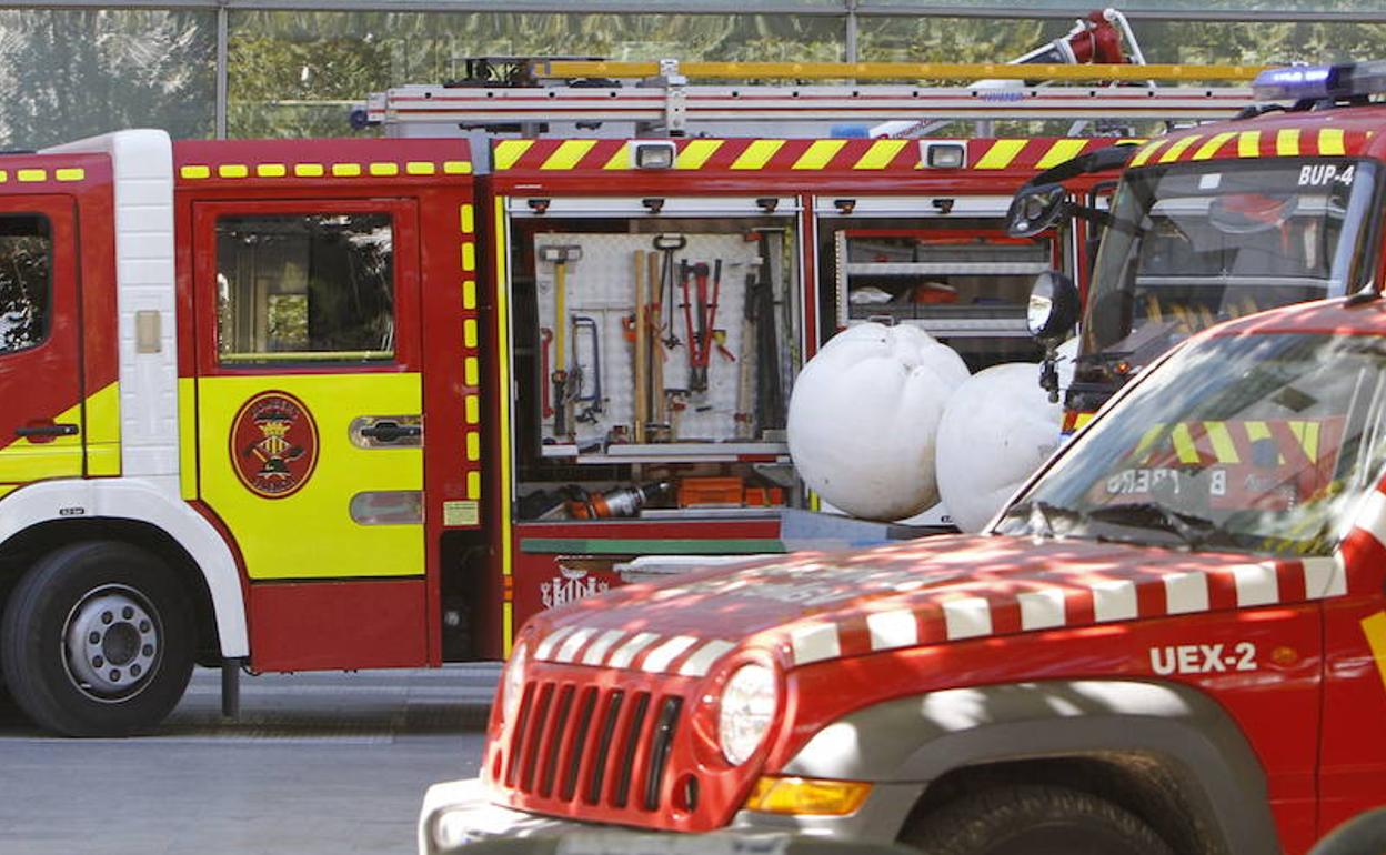 Dos perros y cuatro vehículos calcinados en el incendio de un chalé en Palma de Gandia