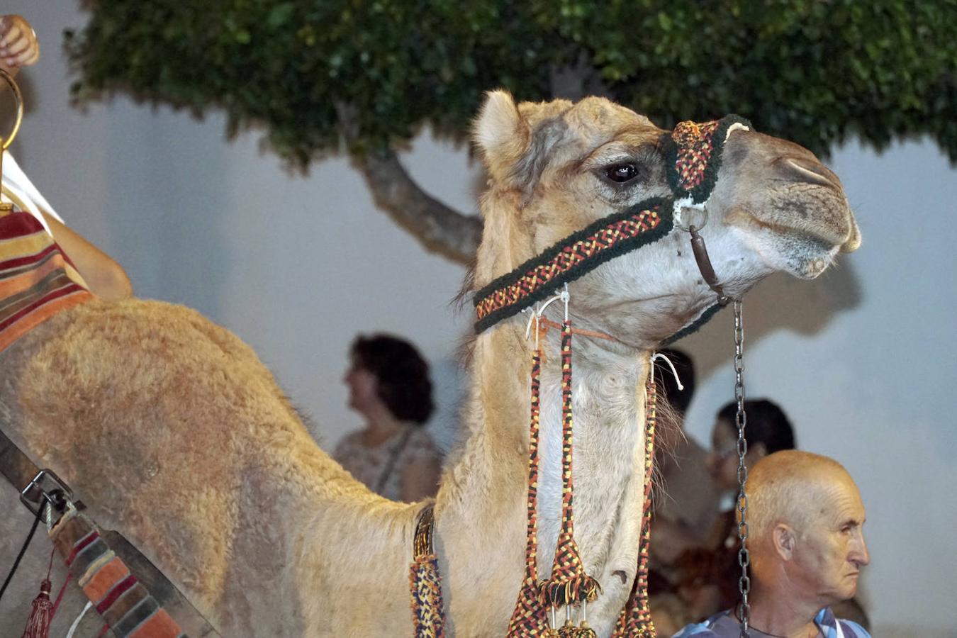 Fotos: Fiestas de Moros y Cristianos de Paterna 2019