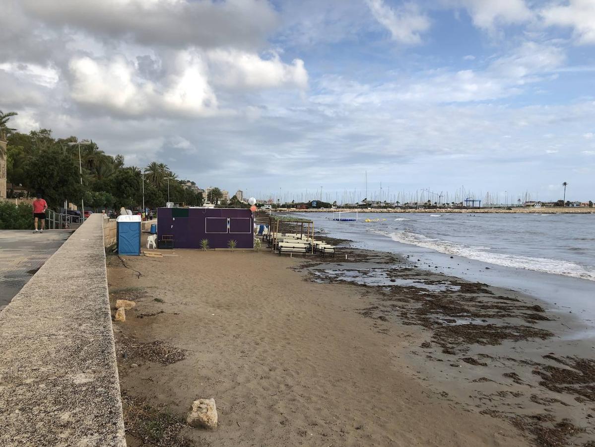 Fotos: Temporal de lluvia y viento en la Comunitat