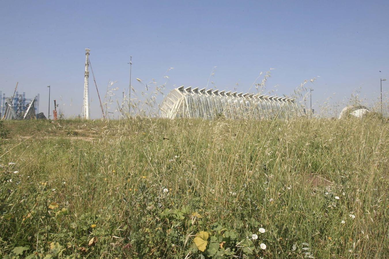 uciedad junto a la Ciudad de las Ciencias. Maleza y publicidad en la milla de oro. 50 millones es el coste estimado para acabar y poner en servicio la línea 10 de Metrovalencia, abandonada hace años, lo que afea el entorno de la Ciudad de las Ciencias.