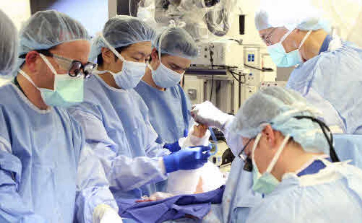 El equipo quirúrgico del Hospital Johns Hopkins de Baltimore (EEUU). 