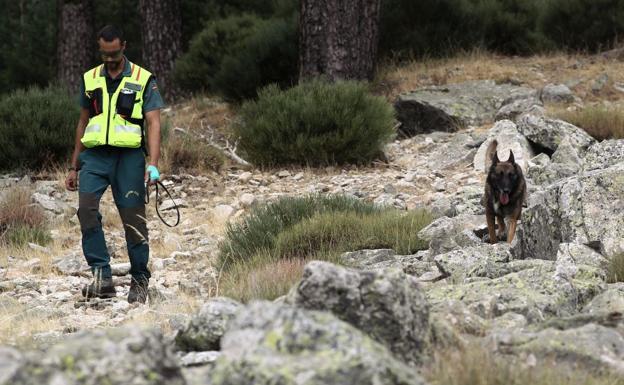 Unidad canina de la Guardia Civil en el dispositivo de búsqueda de Blanca Fernández Ochoa.