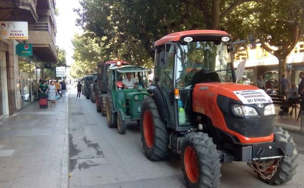 Imagen principal - Los viticultores toman las calles de Requena ante los bajos precios de la uva