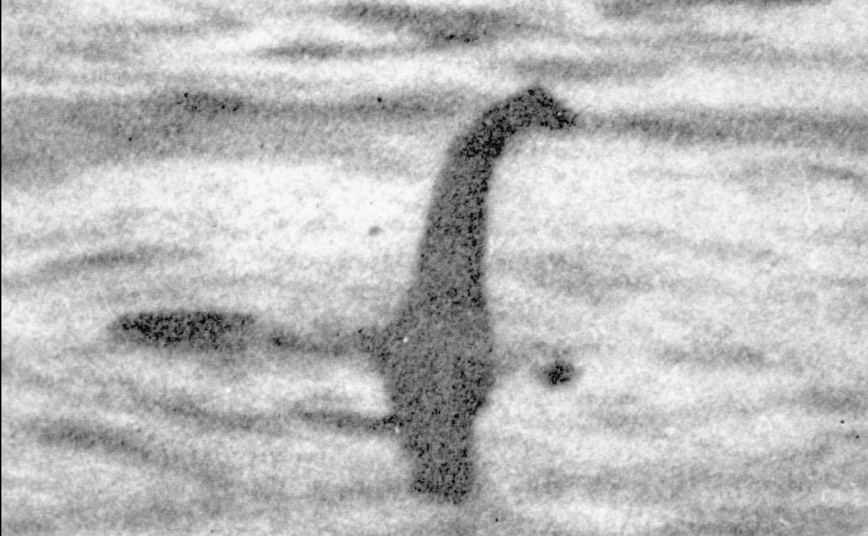 Monstruo del Lago Ness | Un estudio revele qué animal es en verdad el  'monstruo del Lago Ness' | Las Provincias