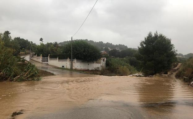 Cauce en Cullera repleto de cañas