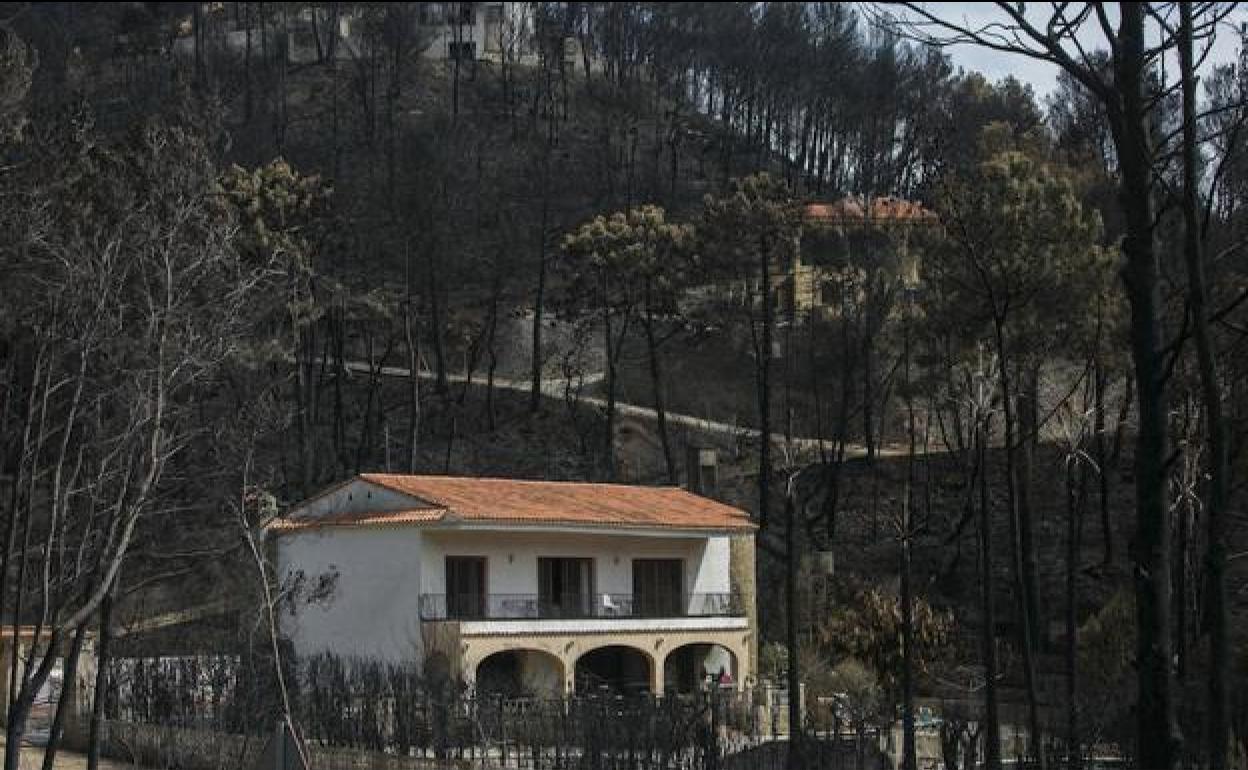Viviendas rodeadas de árboles calcinados en Marxquera, tras el incendio de 2018. 