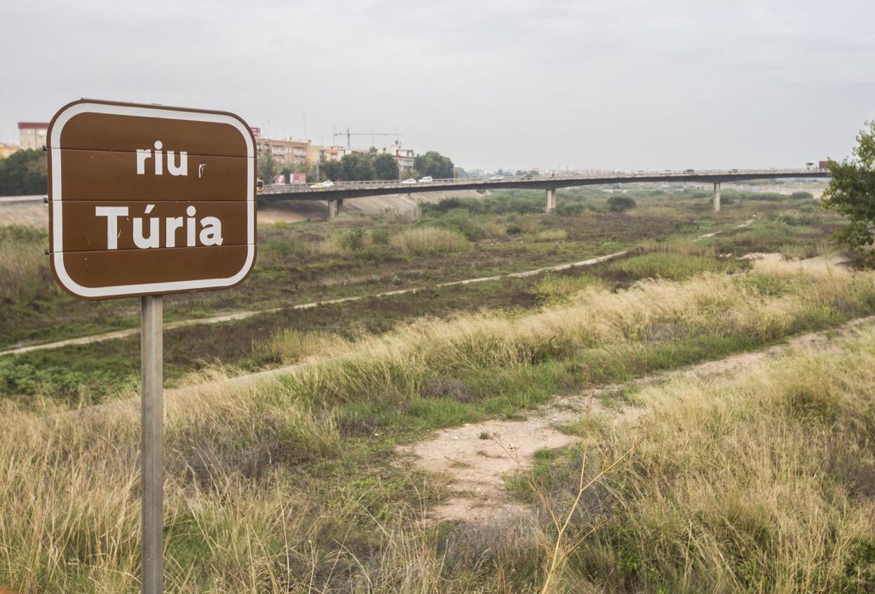 El nuevo cauce del río Turia, repleto de maleza y arbustos. 