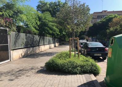 Imagen secundaria 1 - Matorrales en distintos lugares de Valencia.