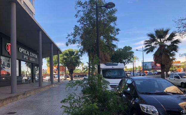 Imagen principal - Matorrales en distintos lugares de Valencia.