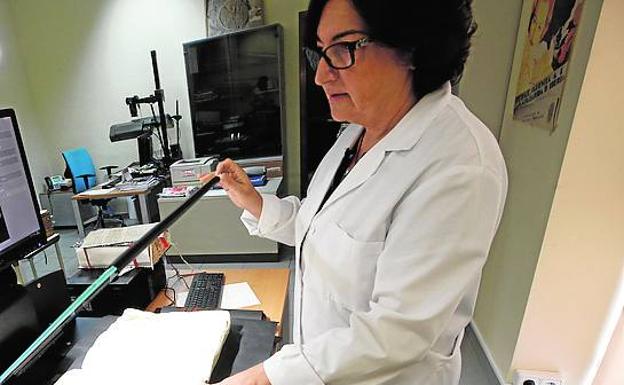 Imagen principal - Una trabajadora escanea documentos, uno de los profesionales revisa piezas y los veinte kilómetros de estanterías.