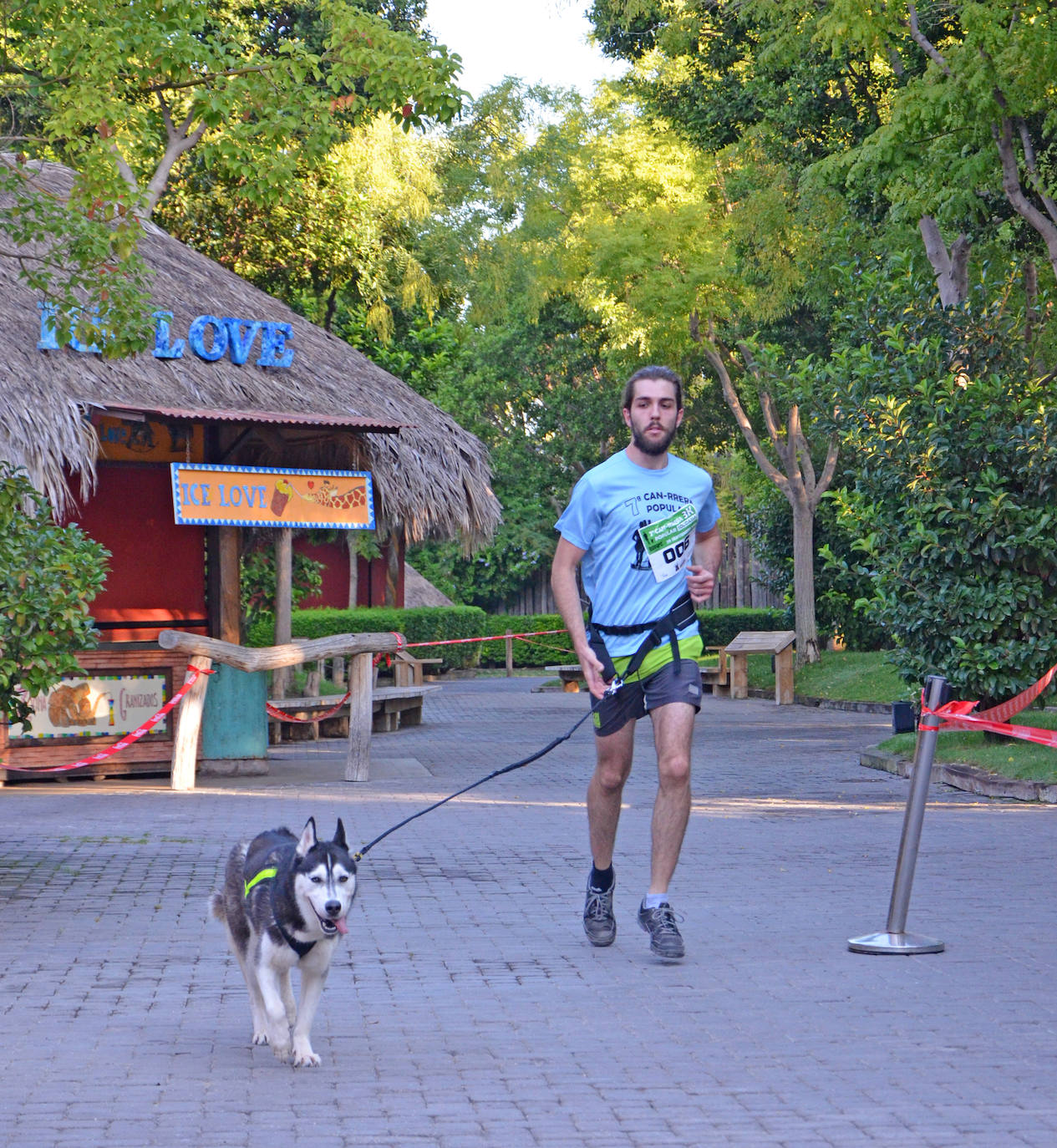 Fotos: Can-rrera Bioparc 2019: animales y dueños corren juntos en Valencia